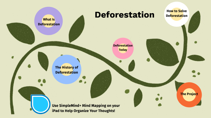 Deforestation By Courtney Duffy On Prezi