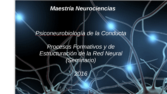 Maestría Neurociencias by Mirko Osnayo Karlovich