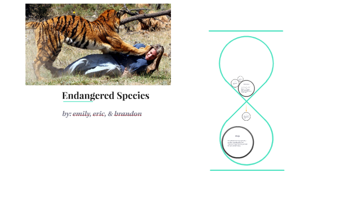 Endangered Species by Science Class on Prezi