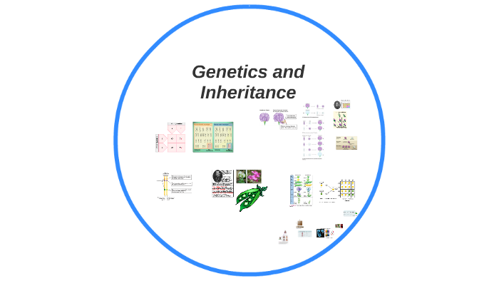 Genetics and Inheritance by Gerardo Gonzalez on Prezi