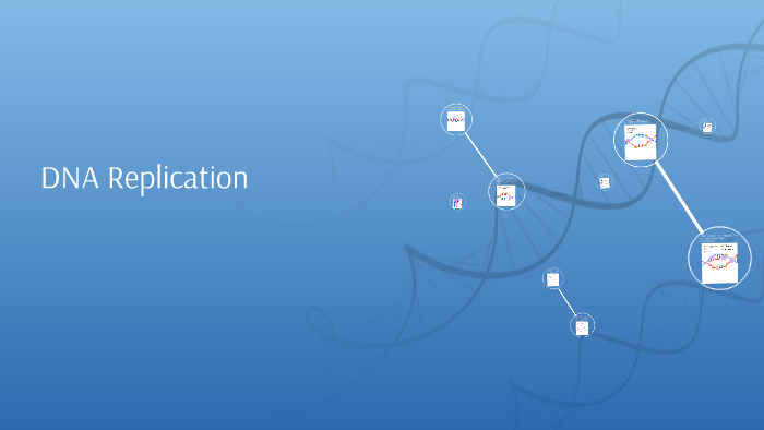 DNA Replication by Keeley Braun on Prezi