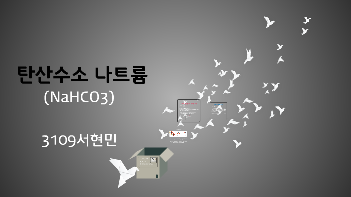탄산수소 나트륨(NaHCO) by 현민 서 on Prezi 탄산수소 나트륨(Nahco) By 현민 서 On Prezi