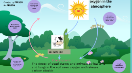 uses of oxygen