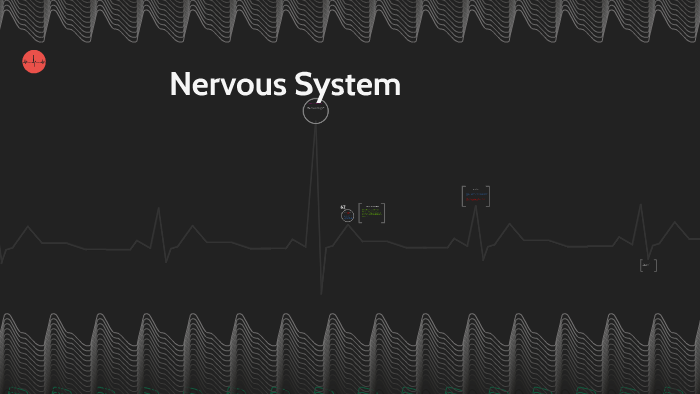 Nervous System by erica sprinkle