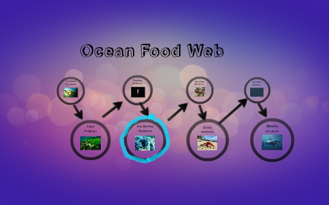 Ocean Food Web by Gurleen Bedwal