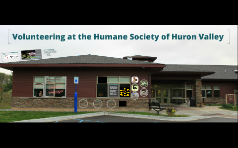 Humane Society Of Huron Valley By Megan Gizzi   7vrpr6b5aovqazhwmc6fjh5wp76jc3sachvcdoaizecfr3dnitcq 3 0 