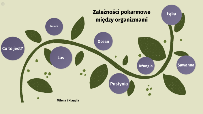 Zaleznosci Pokarmowe Miedzy Organizmami Sprawdzian Klasa 4