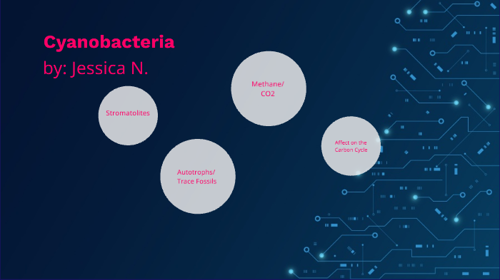 Cyanobacteria by Jess Nelson on Prezi