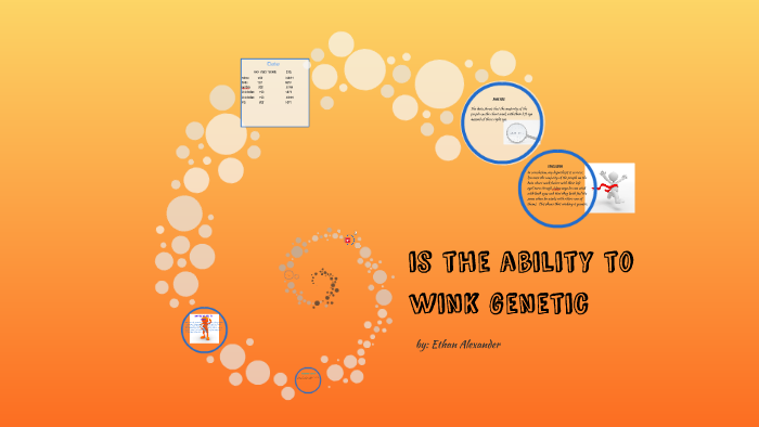 is the ability to wink genetic by Ethan Alexander on Prezi