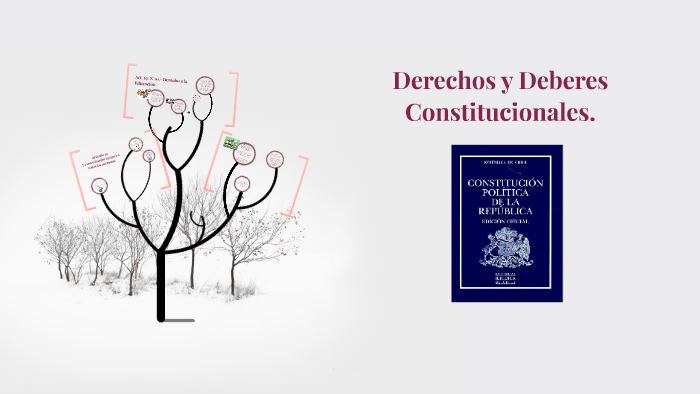 Derechos Y Deberes Constitucionales. By Hernan Ortiz