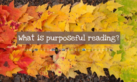 What is purposeful reading? by Theresa Fountain on Prezi