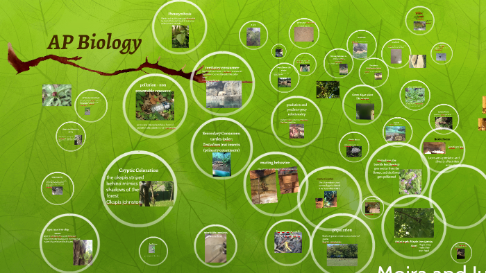 AP Biology by julia roedel on Prezi