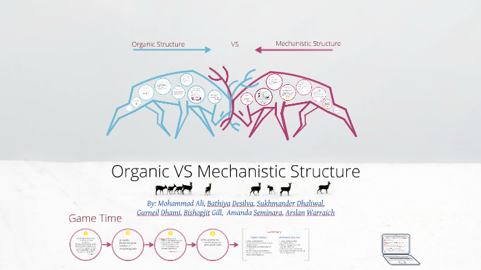 mechanistic structure and organic structure