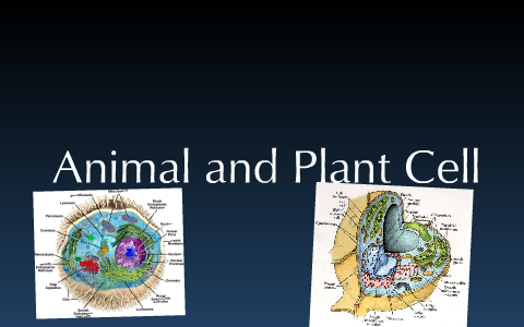 Animal and Plant cell HS project by Jaharan Menzel on Prezi