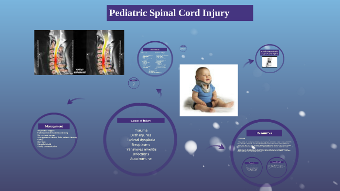 Pediatric Spinal Cord Injury by Kirsten Groff on Prezi