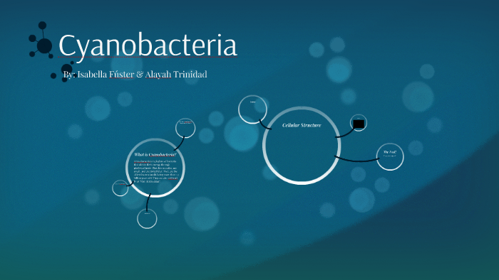 Cyanobacteria by Alayah Trinidad on Prezi