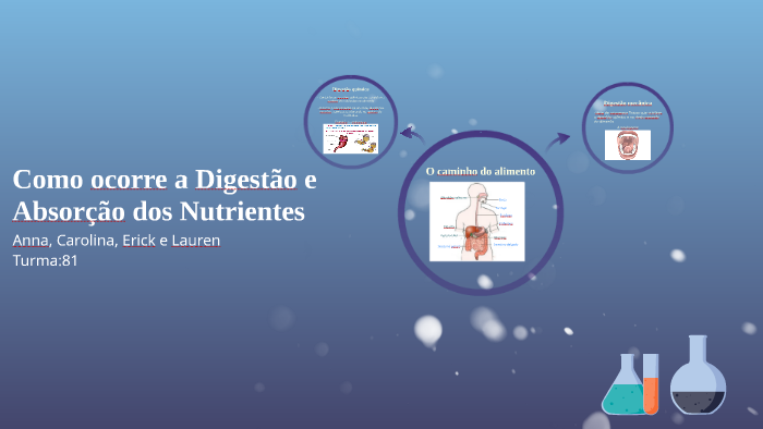 Como Ocorre A Digestão E Absorção Dos Nutrientes By Carolina Husken Pacheco On Prezi 1459