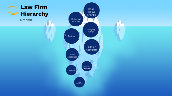 Law Firm Hierarchy By LILY KINTZ