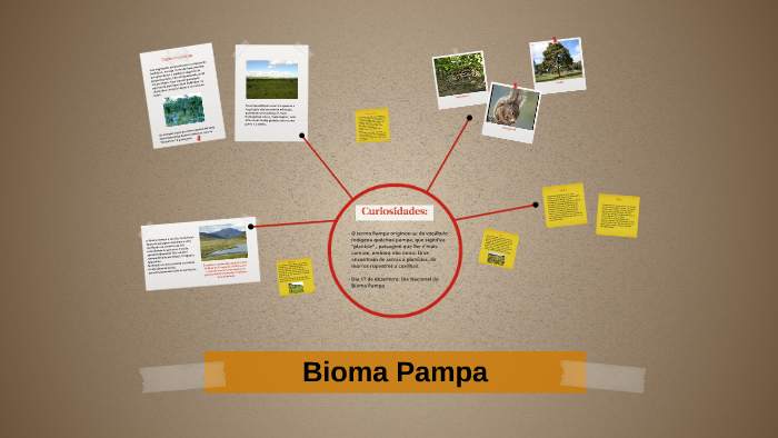 Bioma Pampa by Natalia Tetemann on Prezi