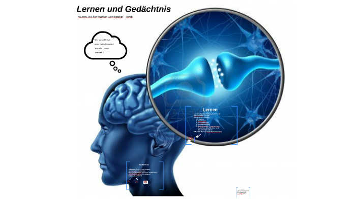 LERNEN UND GEDÄCHTNIS By Julia Preis On Prezi