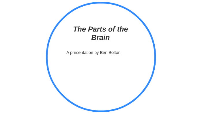 The Parts of the Brain by Benjamin Bolton on Prezi
