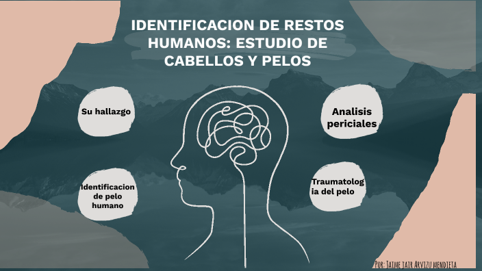 Identificación De Restos Humanos By Jair Arvizu Mendieta