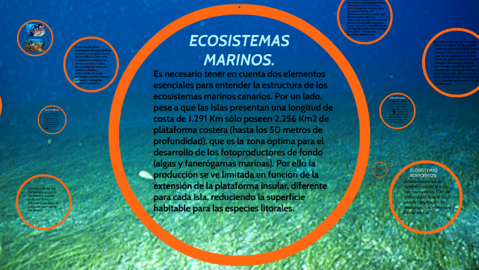 LOS ECOSISTEMAS MARINOS CANARIOS. by emma gonzález martín on Prezi