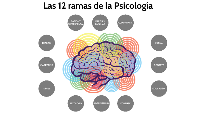 Las 12 Ramas De La Psicología By Mario Tola On Prezi 9558