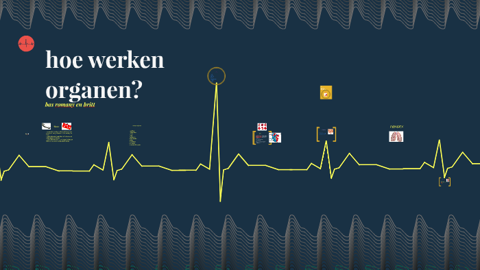 hoe werken organen? by Britt Bas on Prezi