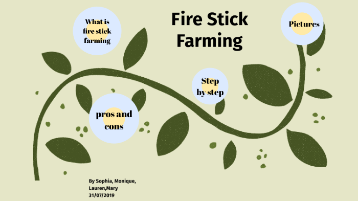 fire-stick-farming-by-monique-mavrikis