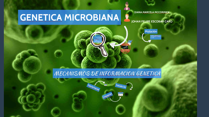 MICROBIANA by johan felipe escobar caro on Prezi