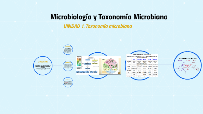 LA TAXONOMÍA by Anahi Hernández on Prezi