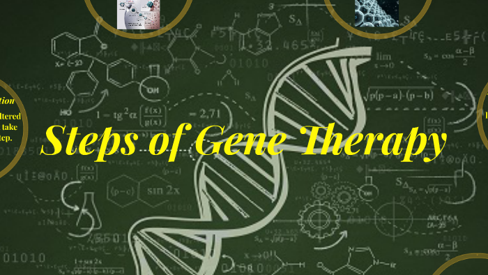 Steps of Gene Therapy by Huy Dang on Prezi