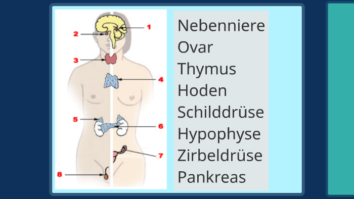 File:Ernst Klett Verlag.svg - Wikimedia Commons