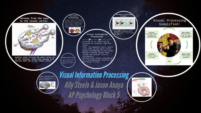 Visual Information Process Visual Information Processing by jason anaya on Prezi