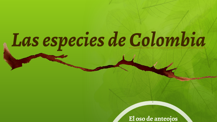 Las especies de Colombia by Taylor McGrane