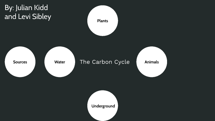 The Carbon Cycle by Julian Kidd on Prezi
