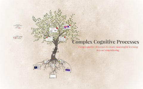 Complex Cognitive Processes by Shannon Parks on Prezi