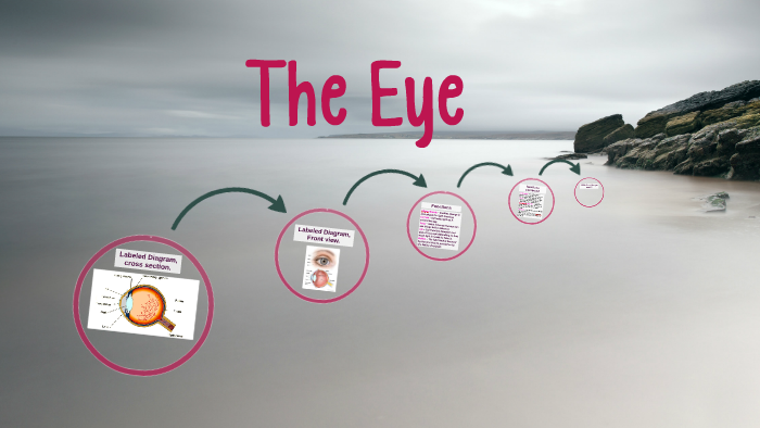 The Eye by Faith Scott on Prezi