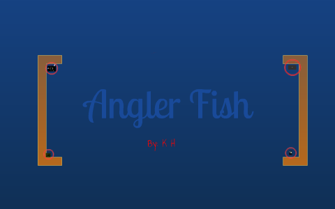 anglerfish by a h on Prezi