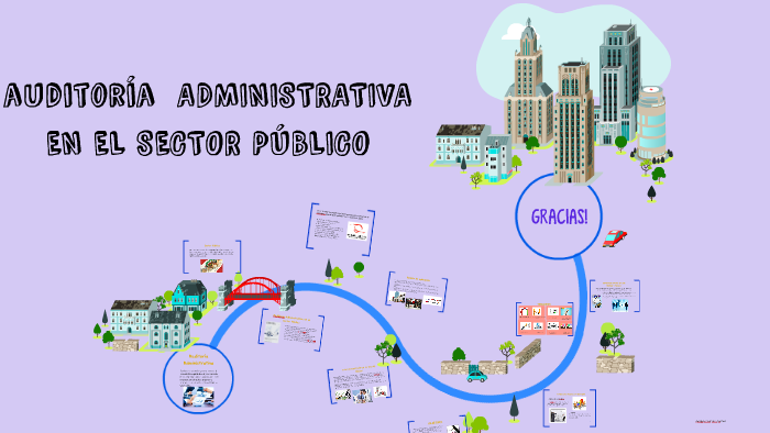 AUDITORIA ADMINISTRATIVA EN EL SECTOR PÚBLICO by Fiorela Sulca Cabrera