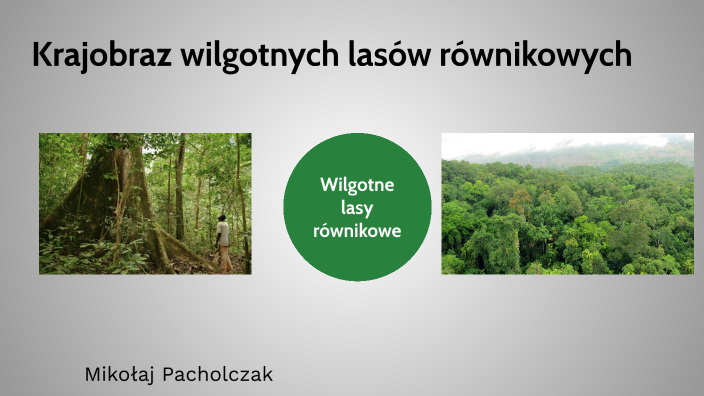 Strefa krajobrazowa wilgotnych lasów równikowych by Mikolaj Pacholczak