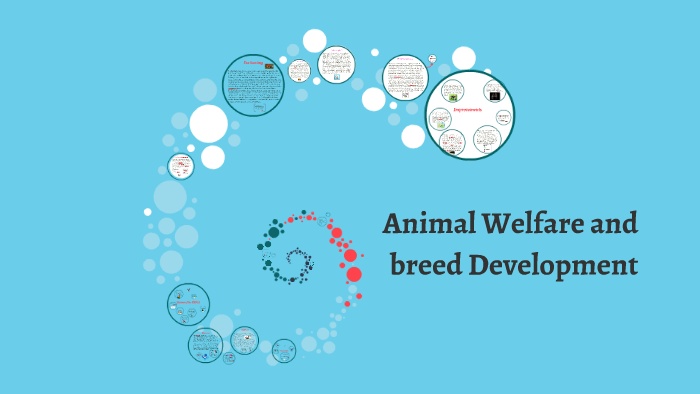 Animal Welfare and breed Development by melinda connolly on Prezi