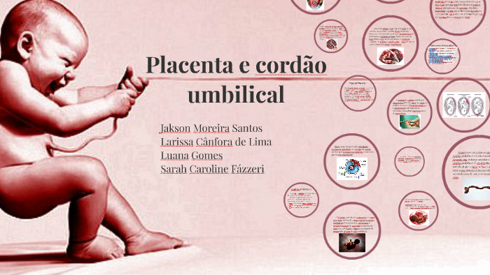Placenta e cordão umbilical by Sarah Fázzeri
