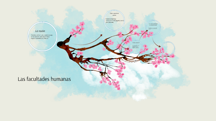 Las Facultades Humanas By Daniela Alejandra Pérez López 7014