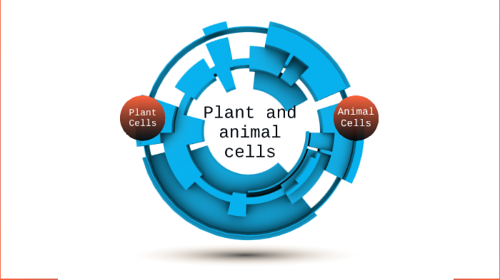 plant and animal cells by pete brennan on Prezi