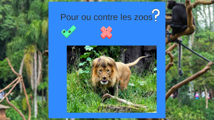 Pour ou contre les zoos by Justine Gervais on Prezi