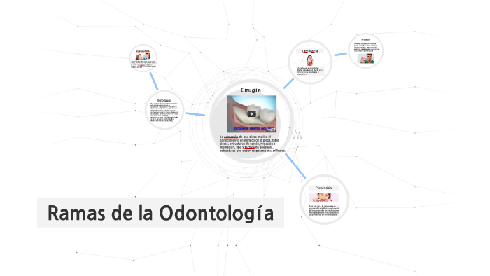 Ramas De La Odontología. By Eunbee Hong On Prezi