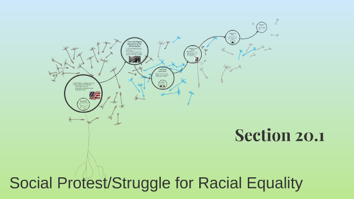 Social Protest and the Struggle for Racial Equality by MaryAlice Miller ...