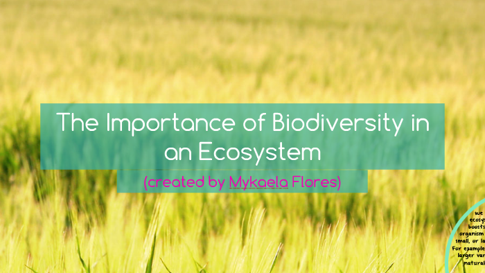 The Importance of Biodiversity in an Ecosystem by Mykaela Flores on Prezi